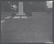 Brown patch on Senator Russel's family cemetary.??Poor growth on young pecan trees in Madison, Georgia