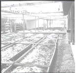 Worm farming and fish cleaning at Callaway Gardens