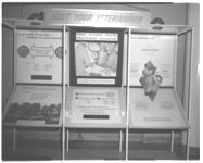 Vet School open house 1965