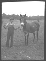W.W. Seaton with a pair of mules he raised