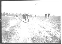 Part of terracing school. Old terraces on field had fall of 18 inches per 100 feet
