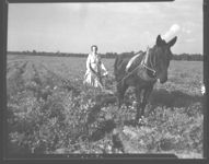 Mrs. Johnson in Ben Hill County, who helped over the cultivation of the family's farm in 1942 after the death of her husband