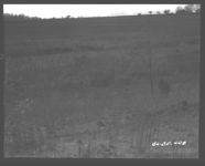 Rough land to be planted to perennials