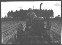 Howard Pope, operator, plowing peanuts