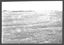General view of main field soon after it was terraced and seeded to annual and sericea lespedezas