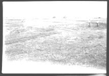 General view of main field planned for crops - a portion of the steeper areas have been seeded to sericea lespedeza