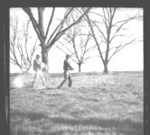 Damage to pecan trees - spreading nitrogen under pecan trees