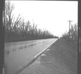 Damage to pecan trees - spreading nitrogen under pecan trees