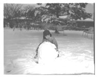 Chicken houses damaged by ice and snow