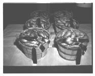 Sweet potato Show at Farm Bureau meeting.??Rows of potatoes on exhibit at Sears Farmers Market