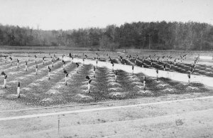 Atlanta Entrenchment Creek Disposal Plant