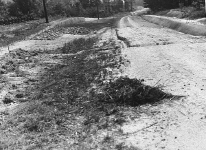 Decatur Sycamore Drive