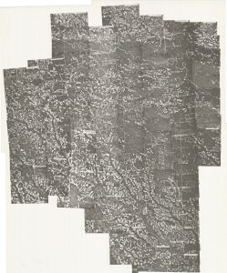 Appling County, 1981: Aerial photography index