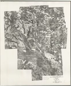 Atkinson County, 1939: Aerial photography index