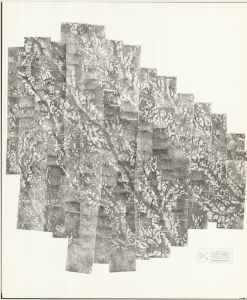 Bacon County, 1952: Aerial photography index