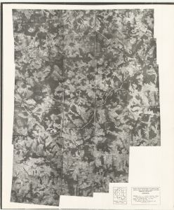 Banks County, 1938: Aerial photography index