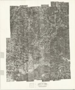 Bartow County, 1950: Aerial photography index