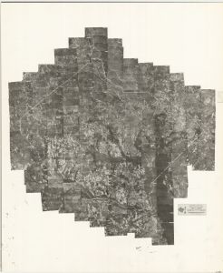 Bibb County, 1955: Aerial photography