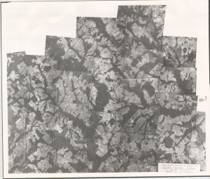 Bleckley County, 1938: Aerial photography index