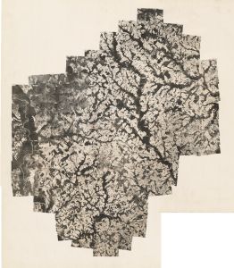 Bleckley County, 1942: Aerial photography index