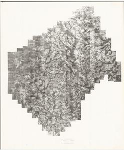 Bleckley County, 1954: Aerial photography index
