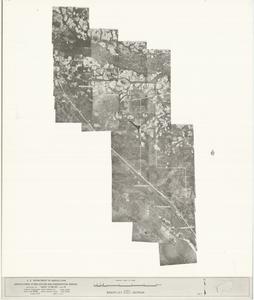 Brantley County, 1962-1963: Aerial photography index