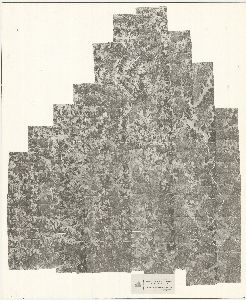 Butts County, 1950: Aerial photography index