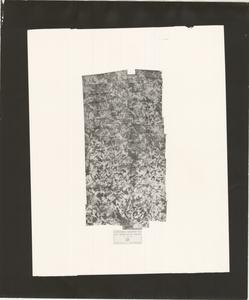 Butts-Jasper Counties, 1936: Aerial photography index