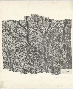 Calhoun County, 1948: Aerial photography index