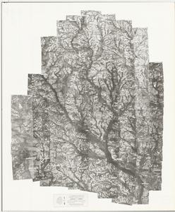 Candler County, 1958: Aerial photography index
