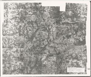 Carroll County, 1938: Aerial photography index