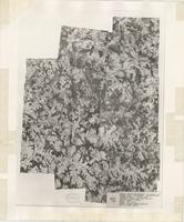 Clarke County, 1938: Aerial photography