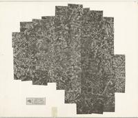 Clarke County, 1955: Aerial photography