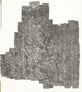 Coffee County, 1941: Aerial photography index
