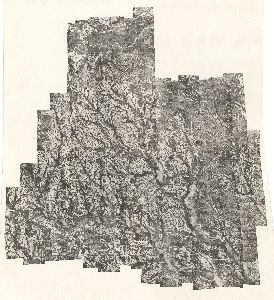 Coffee County, 1947: Aerial photography index