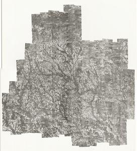 Coffee County, 1956: Aerial photography index