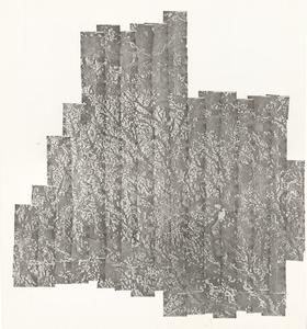 Coffee County, 1968: Aerial photography index
