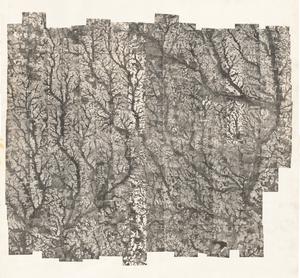 Colquitt County, 1941: Aerial photography index