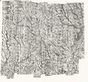 Colquitt County, 1952: Aerial photography index