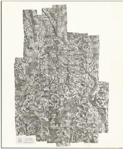 Cook County, 1952: Aerial photography index