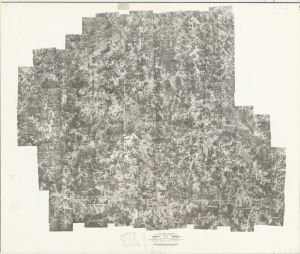 Coweta County, 1949-1950: Aerial photography index