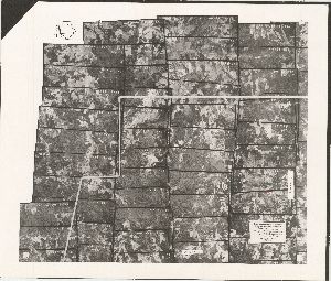 Crawford County, 1938: Aerial photography index