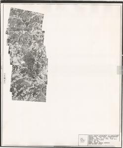 Dawson County, 1938: Aerial photography index