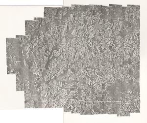 Dooly County, 1968: Aerial photography index