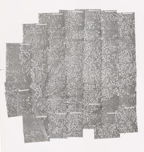 Dooly County, 1975: Aerial photography index