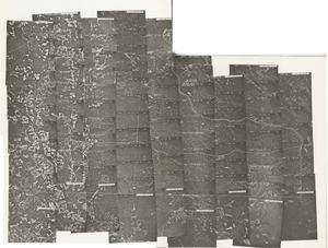 Echols County, 1981: Aerial photography index