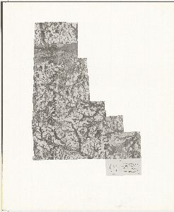 Emanuel County, 1949: Aerial photography index