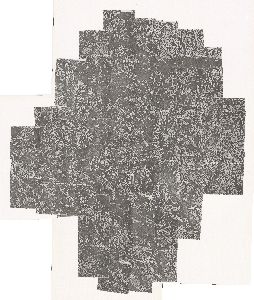Emanuel County, 1977: Aerial photography index