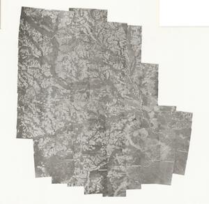 Evans County, 1962-1963: Aerial photography index