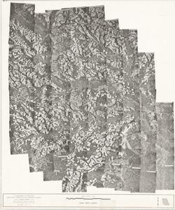 Evans County, 1968: Aerial photography index